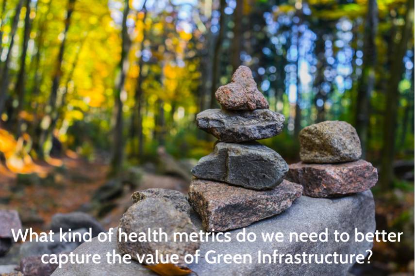 what kind of health metrics do we need to better value green infrastructure