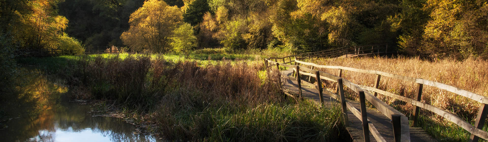 countryside green infrastructure