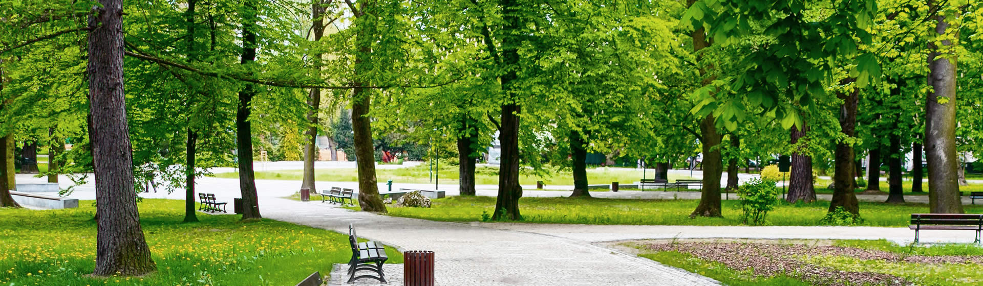 green infrastructure